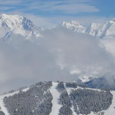 Le Caribou