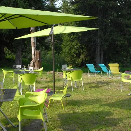 Le Caribou
